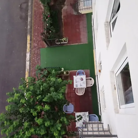 White Cat Sevgi 2*
