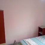 White Cat Sevgi 2*
