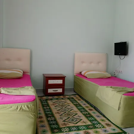 White Cat Sevgi Antalya