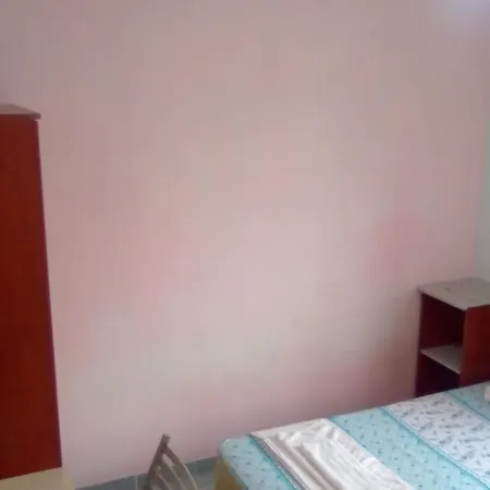 White Cat Sevgi 2*