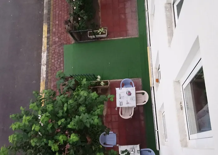 White Cat Sevgi 2*
