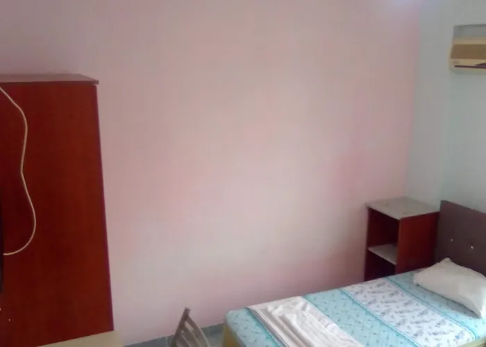White Cat Sevgi 2*