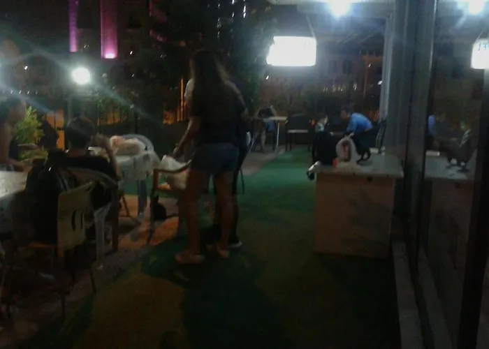 White Cat Sevgi Hotell