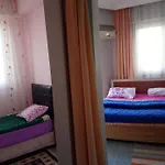 White Cat Sevgi 2*