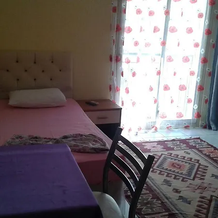 White Cat Sevgi 2*