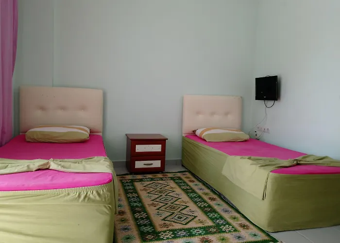 White Cat Sevgi Antalia