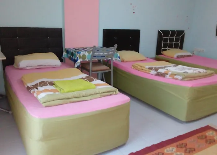 White Cat Sevgi Hotel 2*