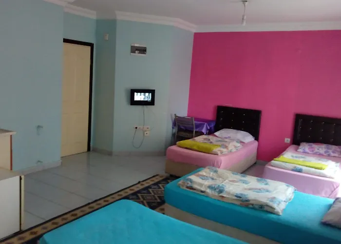 White Cat Sevgi Antalia