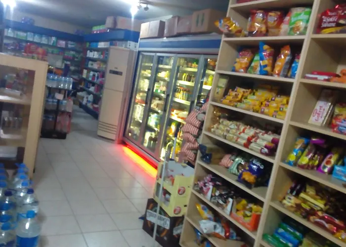 White Cat Sevgi Antalia