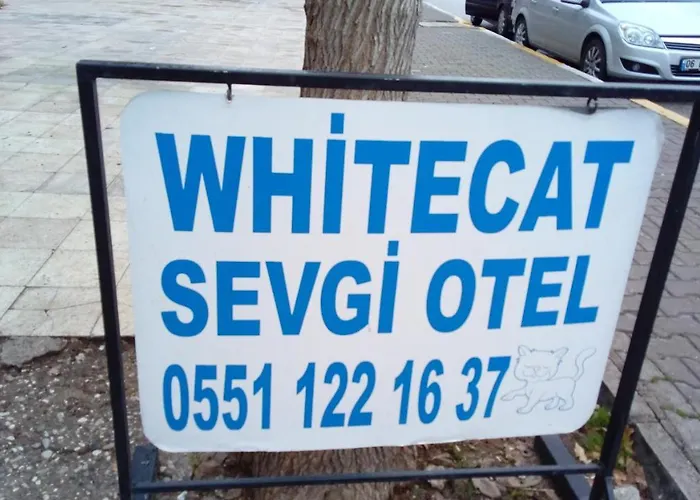 Hotel White Cat Sevgi 2*
